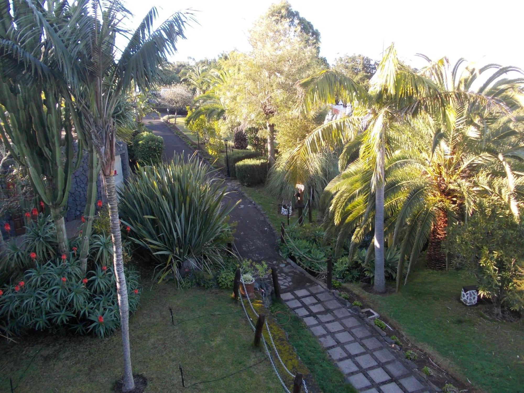 La Palma Romántica Barlovento