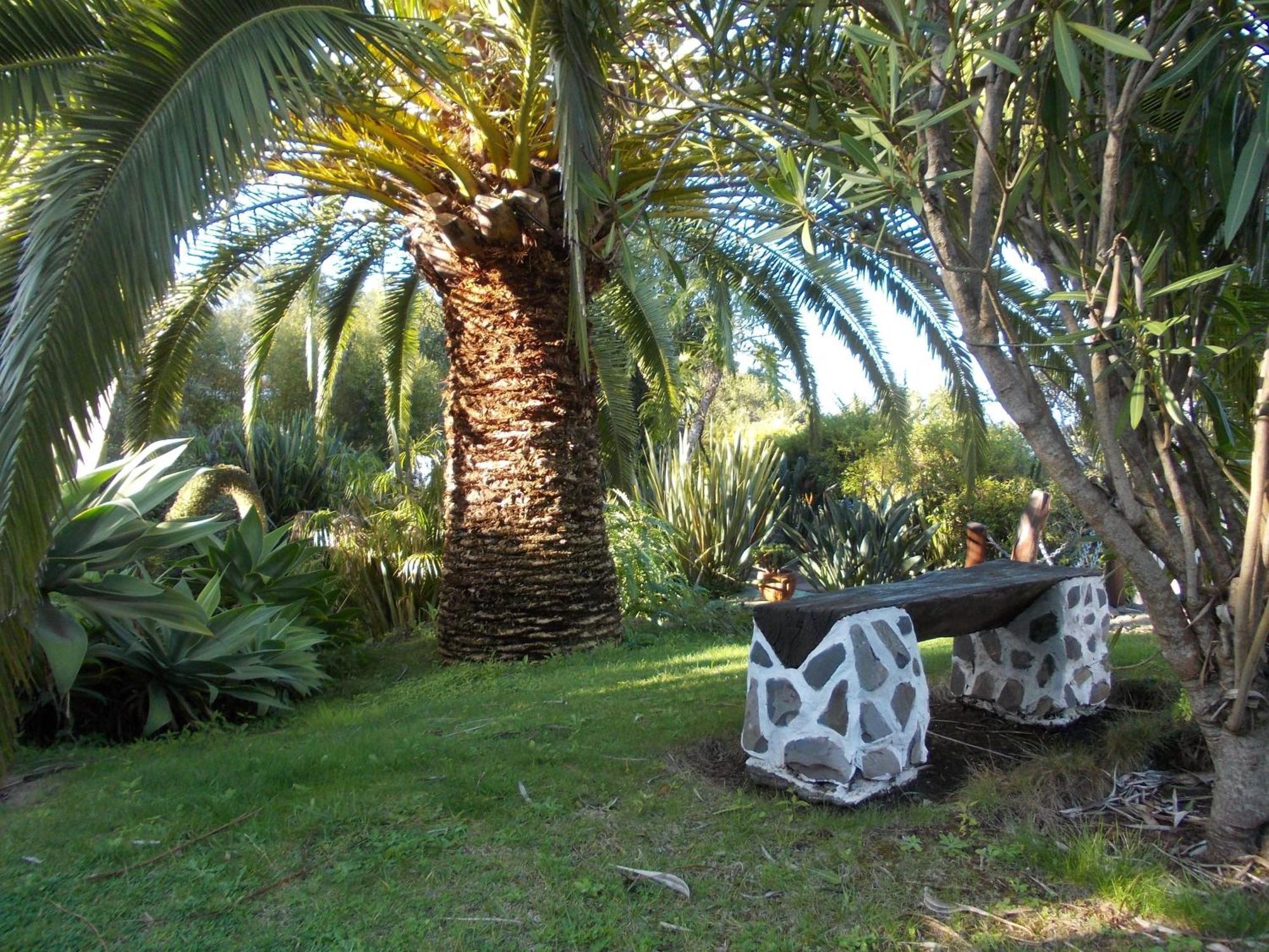 Hotel La Palma Romántica
